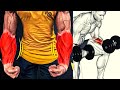 5 BEST EXERCICES FOREARMS ( DUMBELLS ONLY ) / musculation avant -bras avec haltères