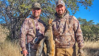 Grey Fox vs a 12-gauge Shotgun! - Arizona Coyote Hunting by Geoff Nemnich Coyote Hunting Vids 3,367 views 7 months ago 13 minutes, 34 seconds