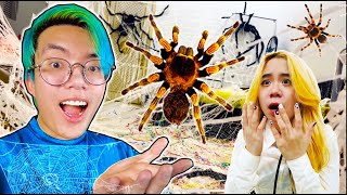 XÂY HANG ĐỘNG NHỆN KHỔNG LỒ TROLL BẠN GÁI | PHONG CẬN VLOG screenshot 2