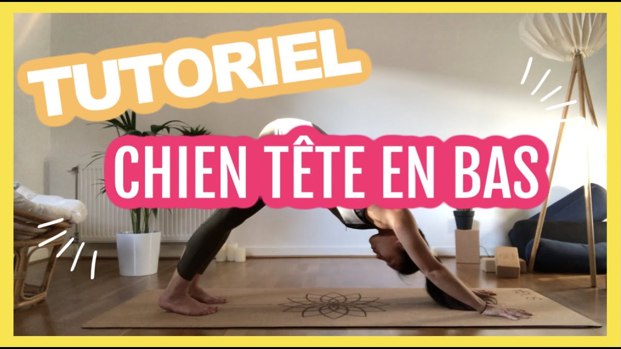 5 MIN pour apprendre le chien tête en bas - YOGA DEBUTANTS