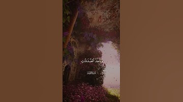 أكتب شيء تؤجر عليه 🤍#القرآن_الكريم #تلاوة_خاشعة