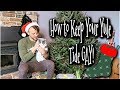 KEEP YOUR YULETIDE GAY- HOW TO SURVIVE YOUR FAMILY HOLIDAY!- LGBTQ FAMILY SURVIVAL GUIDE