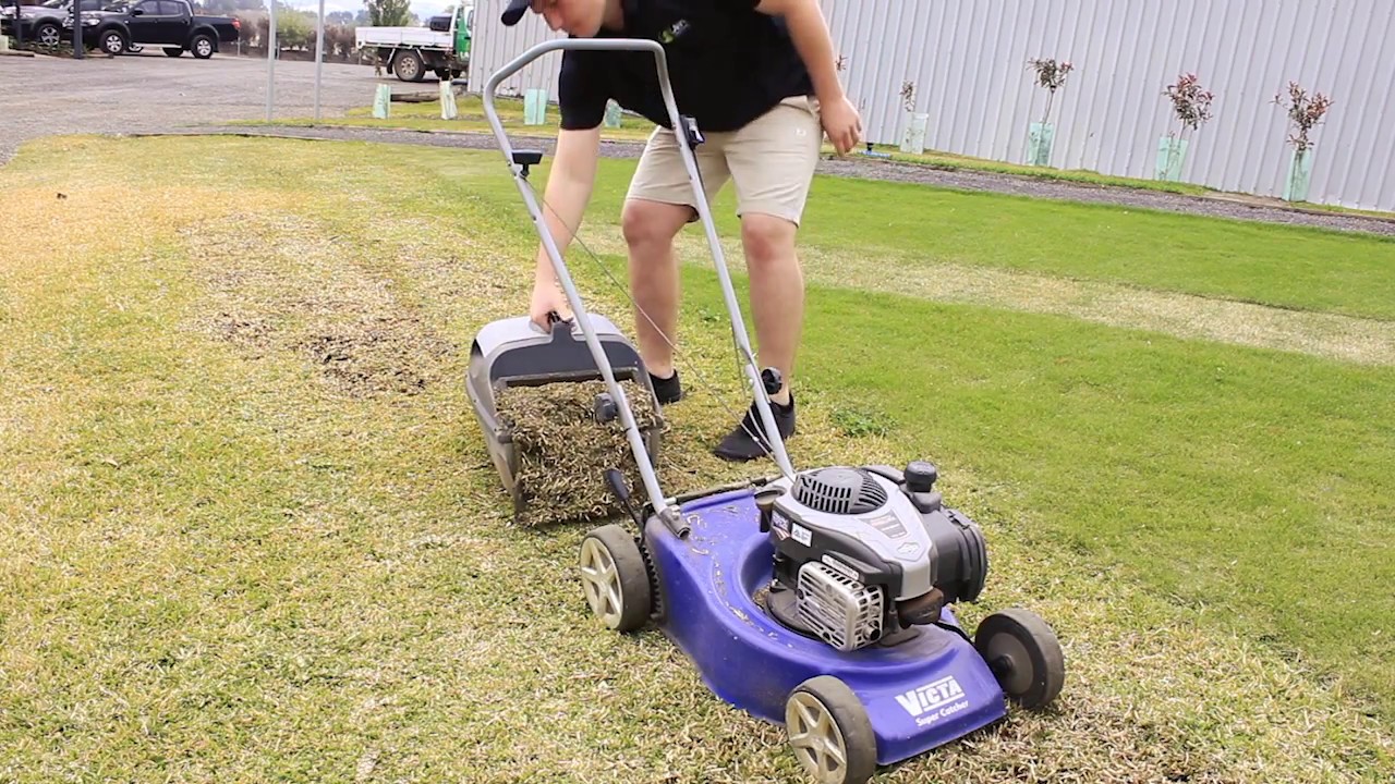 Dethatching Lawn Mower Blades - Mary Blog