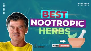 Best Nootropic Herbs