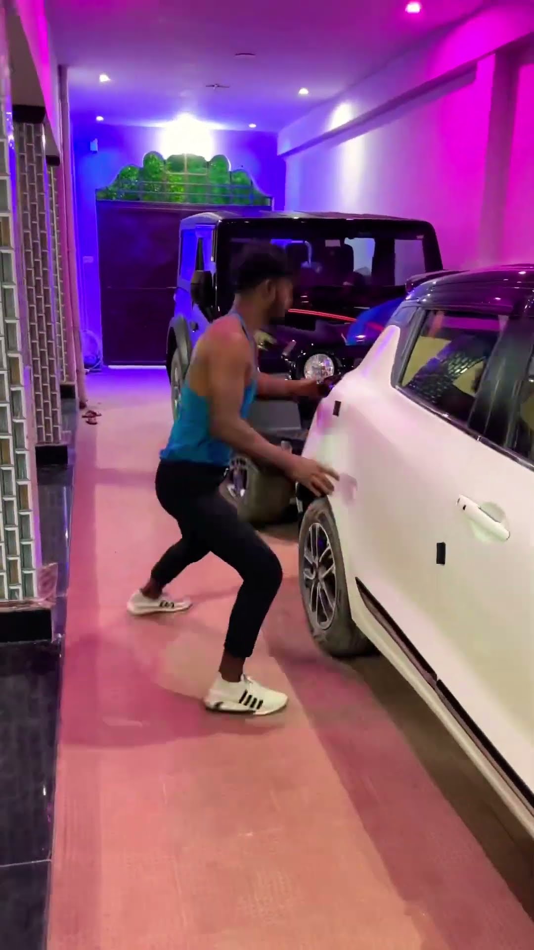 Tiger farar ??? #funny #shortvideo #funnyvideo