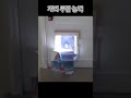 개의 무한 능력