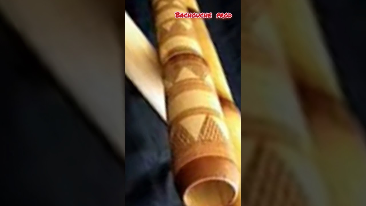 الشيخ الصديق ضيف طرق زرمومي
