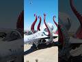 USA Octopus Fighter Jet Unleashed The Beast of the Skies #aviation #fighterjet #usaf #aviationshorts