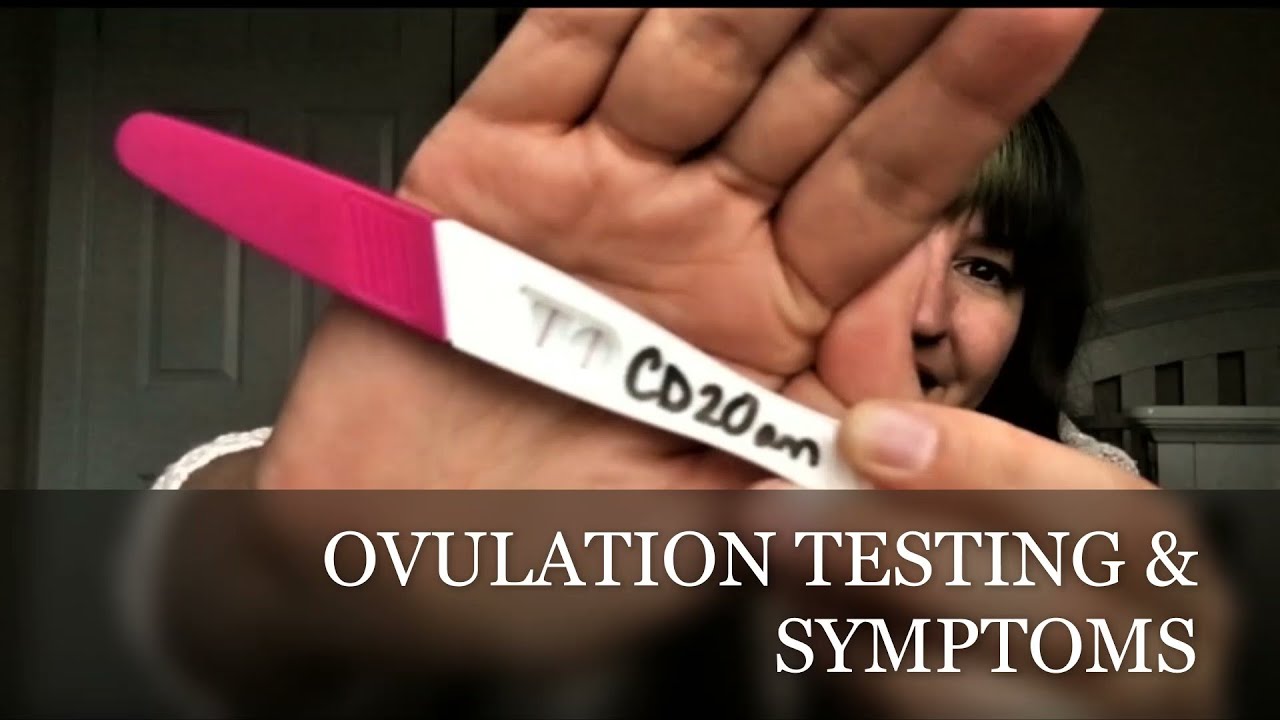 Ovulation Symptoms & Tests TTC Cycle 2 YouTube