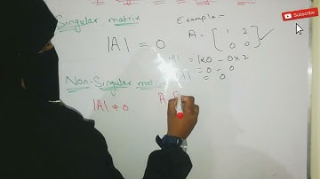 Determinant /inverse/ adjoint and singular and non singular matrix| class 9th math