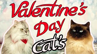 CAT'S Valentine's Day || LOVE STORY || EPISODE 1 || The Savitsky Cats by The Savitsky Cats 5,199 views 4 years ago 2 minutes, 17 seconds