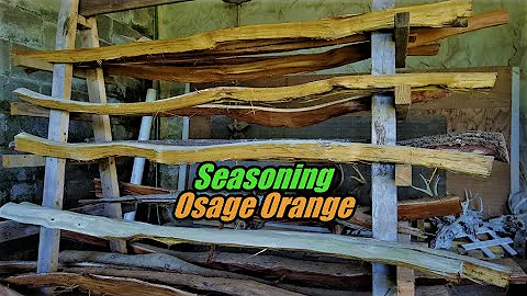 Splitting and Seasoning Bow wood. Osage Orange...