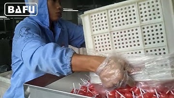 lollipop bunch wrap machine, lollipop packaging machine, lollipop wrapping machine