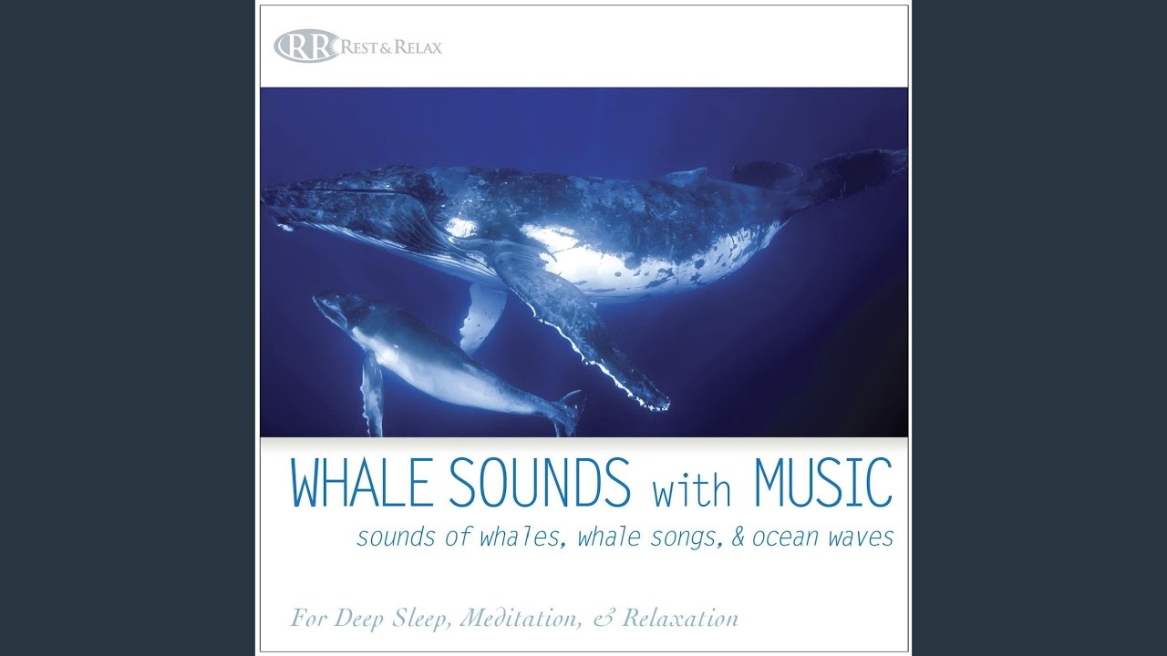 Тихий океан песни кучина. Whale Sound. Song of the Whales 1997. Audio CD Дельфин. Звезда. Ocean Song Ashes.