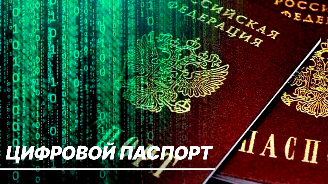 Владимир Путин подписал указ о цифровом паспорте. Что это и как его получить?