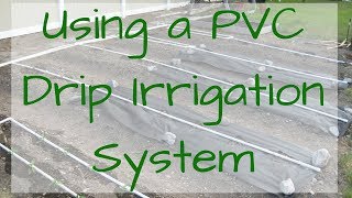 Using a PVC Drip Irrigation System in your Backyard Garden