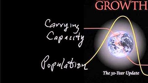 DL2. Discovery of the Sustainability Problem by Limits to Growth Project