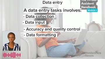 The Virtual Assistant Handbook (Module 1) - Data Entry