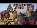 сатылды РАКЕТА ~Дони ГРЕЙДЕР  подарканы кимге берет