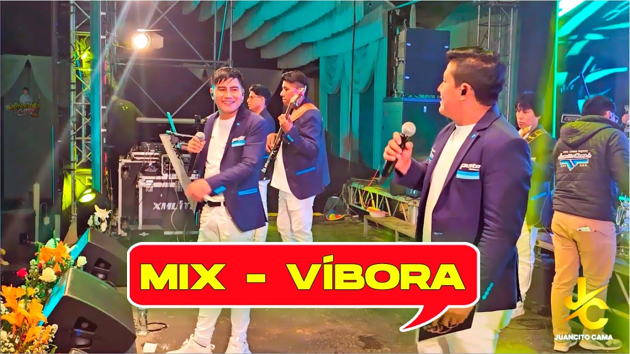 Juancito Cama Jr / Alfredito Corazón - Mix Víbora / Grupo Genesis, Los Geniales, La BandaG, Gentiles