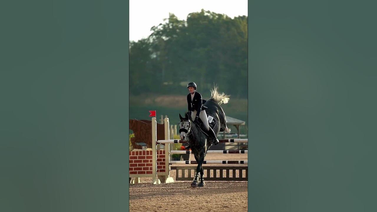 123 they gonna run back to me- that horse, stunning #subscribe # - 123 Gonna Run Back To Me Lyrics