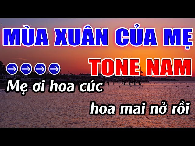 Mùa Xuân Của Mẹ Karaoke Tone Nam Karaoke Lâm Beat - Beat Mới class=