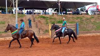 Cavalo Júnior de Marcha Picada - IBIRACI-MG