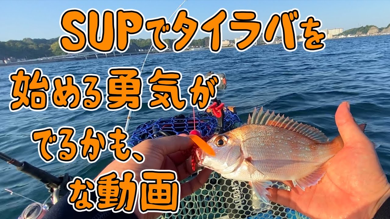 SUPでタイラバを始める勇気がでるかも、な動画。勝浦湾にてタイ釣れた！