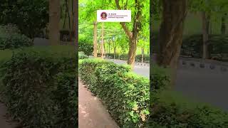 40°C outside, but it feels different inside 🌿At I K Gujral Punjab Technical University