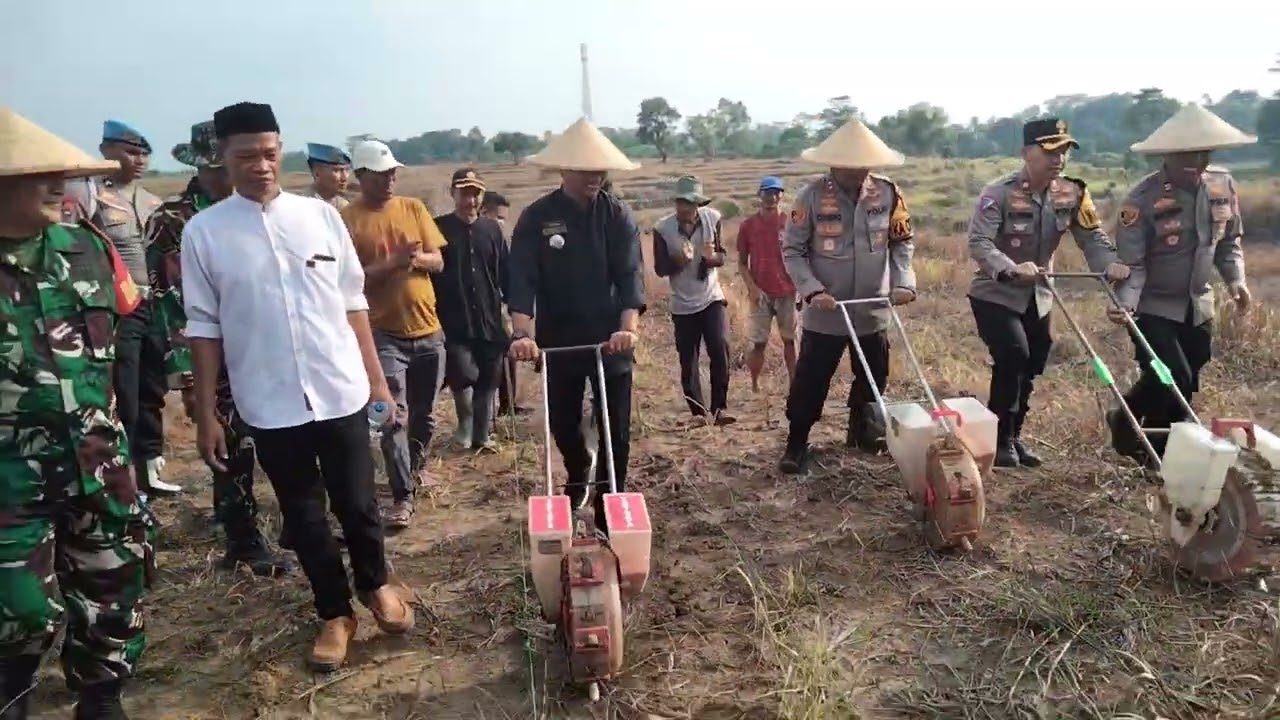Dukung Program Ketahanan Pangan. Kapolres Serang Tanam Jagung Bersama Petani Kecamatan Kopo