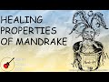 Exclusive Metal Music 2021 Mandrake Metalmusic Exclusive Metal Music 2021 Mandrake Metalmusic