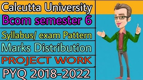 Bcom semester 6 | Syllabus | Marks Distribution | Previous year question papers | Project Work