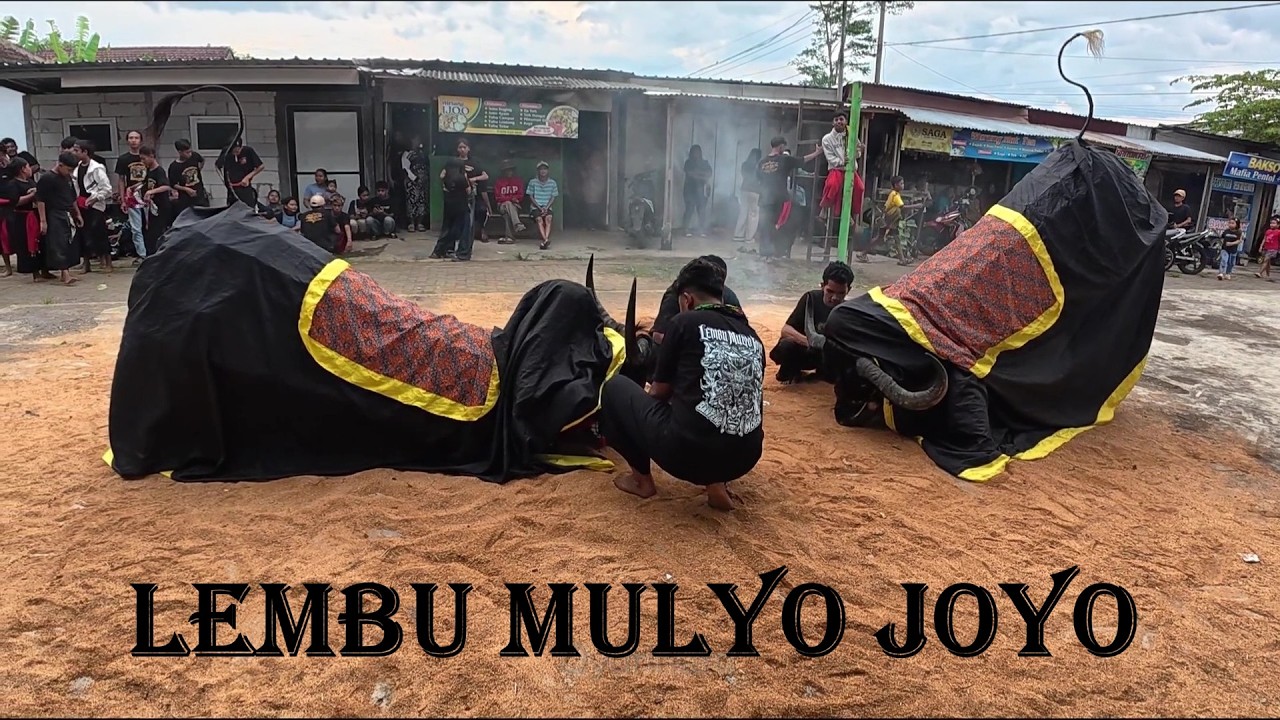 Mberot bareng bantengan Lembu Mulyo Joyo full kalapan