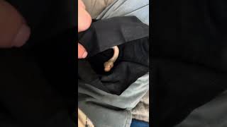 Famous Albino Clown Ball Python Unboxing Net Worth