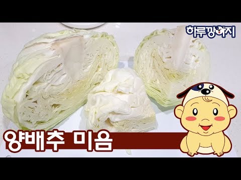 완분초기이유식식단표 추천