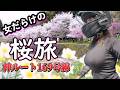 ライダー必見！169号線『桜の聖地』大和路・桜ツーリング紀行～古都から秘境へゆく