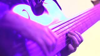 Cantabajo 7 String Fretless B, Andi Fuhrer