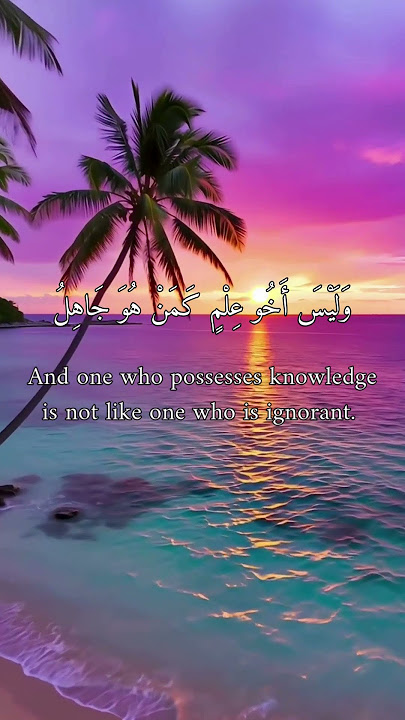 Study | تَعَلَّمْ — A Soulful Nasheed by Muhammad Yusuf | محمد يوسف