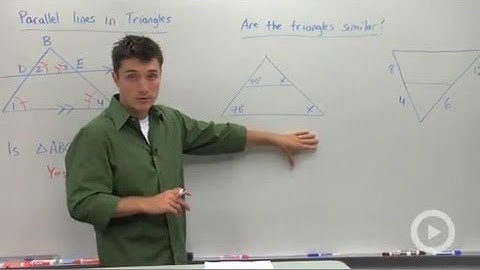 Proportional Segments Between Parallel Lines