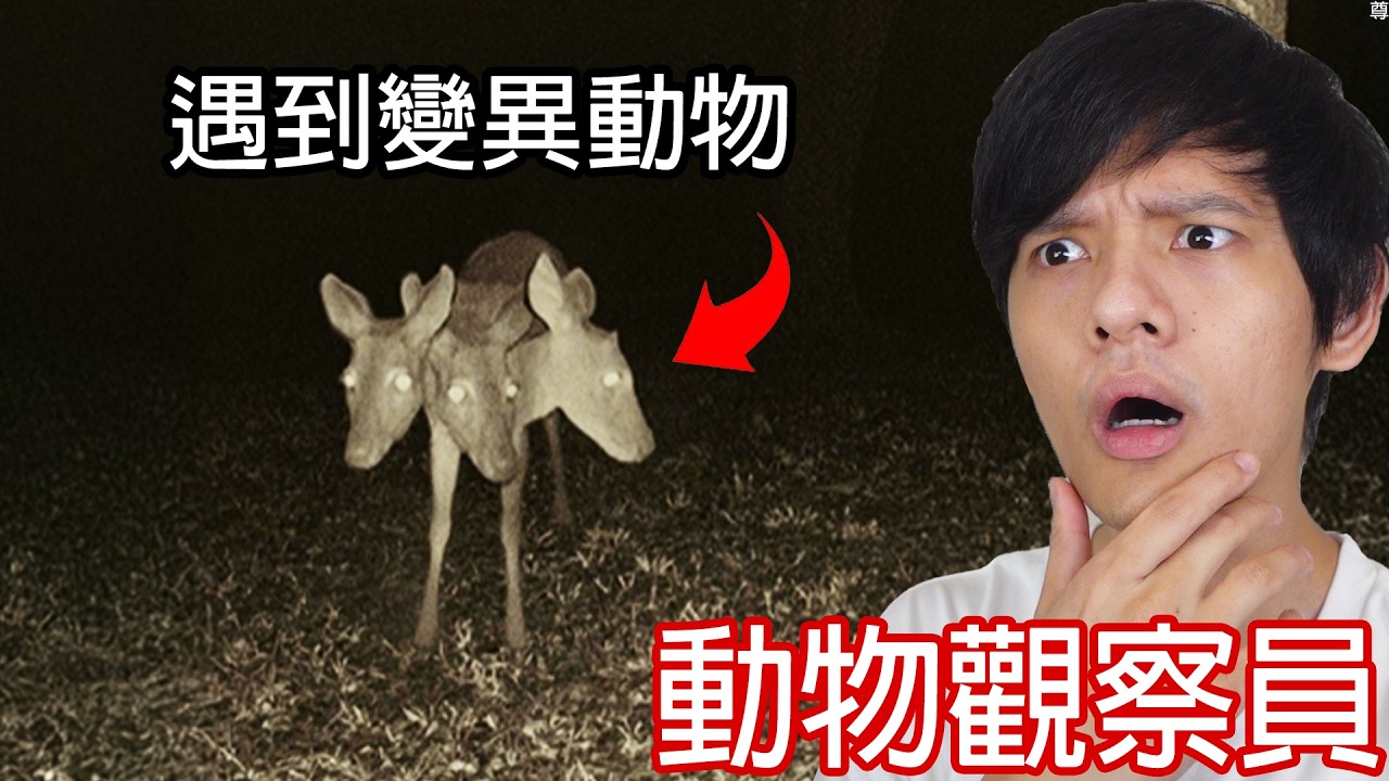 【尊】我是林务局的动物观察员，这座森林好像不对劲...【第二频道】