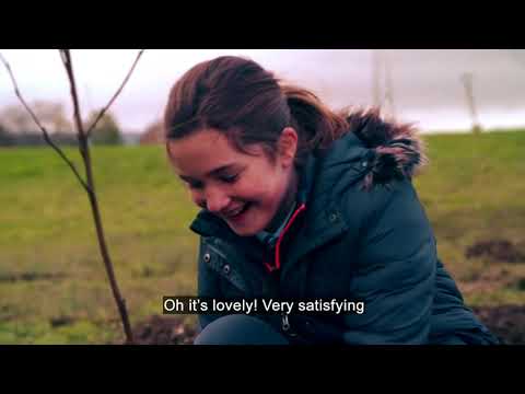 How to Plant a Tree Sapling!