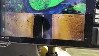 Humminbird new Coastmaster chart card on Monduran dam