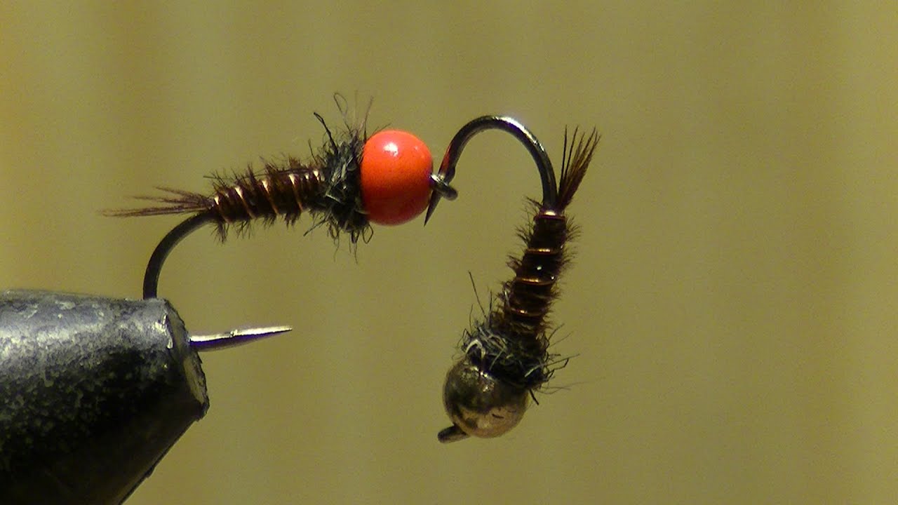 Montage Mouche : Faisan Tail à bille