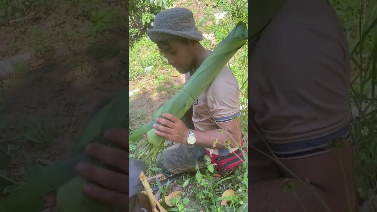 Rau rừng ngày giáp tiết