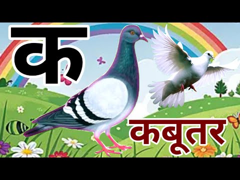 अ से अनार | आ से आम | a se anar | aa se aam | क से कबूतर | K