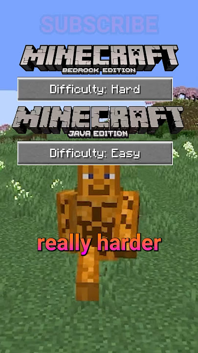 java player tries BEDROCK edition
