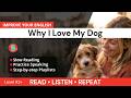 A2+ 🟠 Step-by-Step English Course: Listening &amp; Speaking – Why I Love My Dog