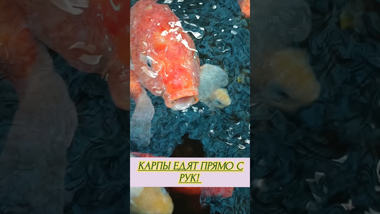 Ботанический сад в Вологде