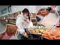 Una semana conmigo (y mis gatos) viviendo en Japón 🌱 Supermercado japonés, cocinando y estudiando