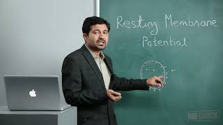 PHYSIOLOGY : RESTING MEMBRANE POTENTIAL